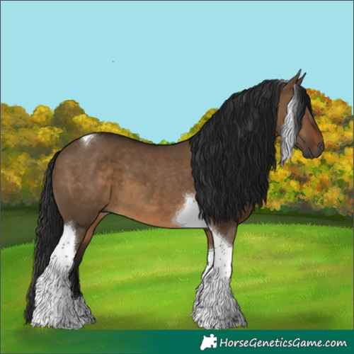 Horse Color:Gray Bay Dun Tobiano 