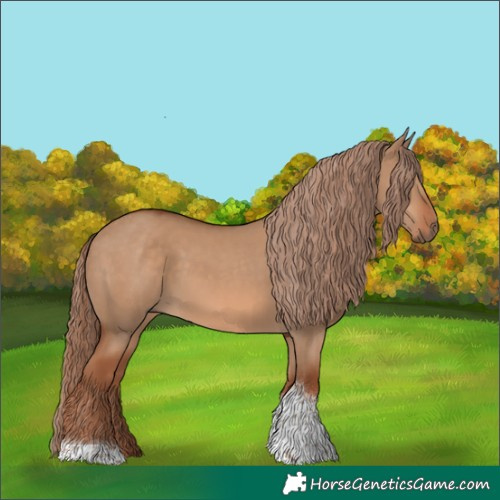 Horse Color:Red Dun Tobiano