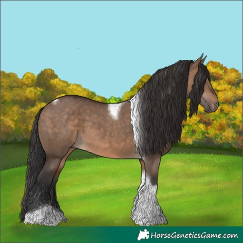 Horse Color:Brown Dun Tobiano