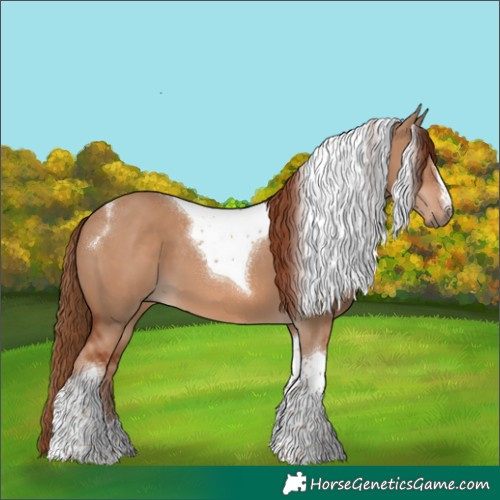Horse Color:Red Dun Tobiano 