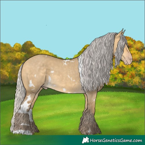 Horse Color:White Spotted Silver Sable Cream Champagne Dun