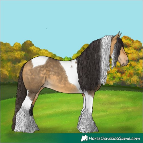 Horse Color:Buckskin Dun Tobiano