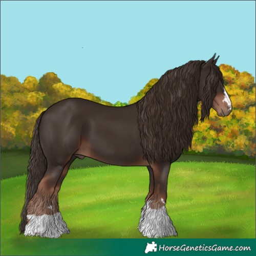 Horse Color:Liver Chestnut