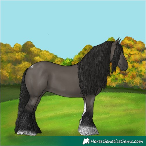 Horse Color:Gray Grullo Tobiano 