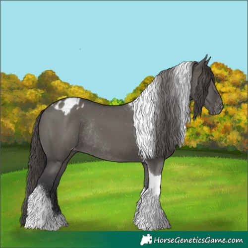 Horse Color:Grullo Tobiano Blanket Rabicano