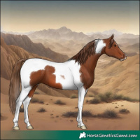 Horse Color:Chestnut Tobiano