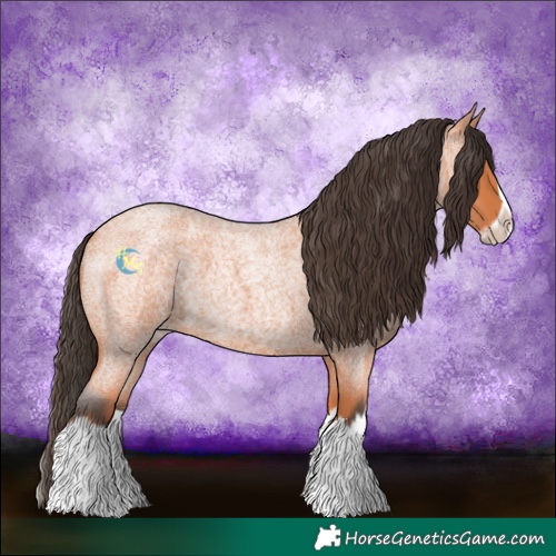 Horse Color:Bay Roan Splash Frame