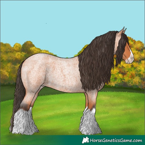 Horse Color:Bay Roan Splash Frame 