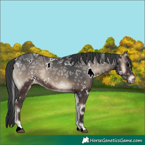 Horse Color:White Spotted Blue Onyx Ice 