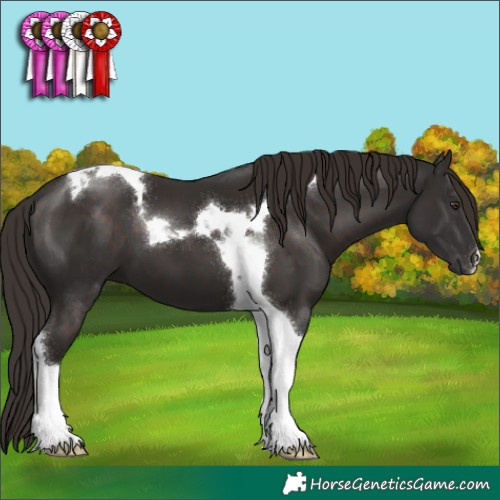 Horse Color:Liver Chestnut Tobiano
