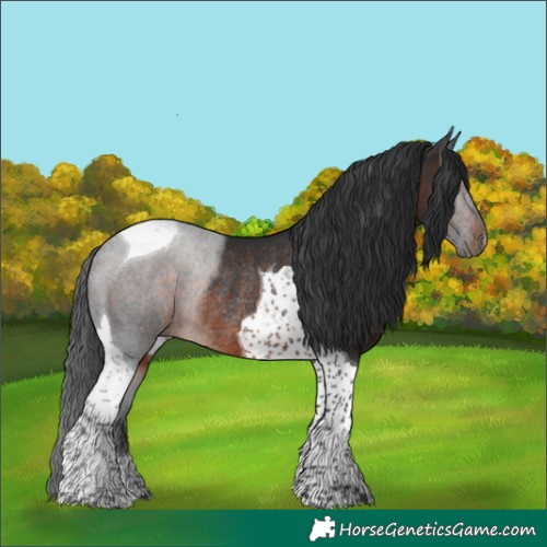 Horse Color:Brown Tobiano Rabicano 