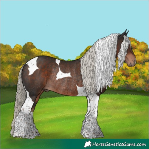 Horse Color:Liver Chestnut Mushroom Tobiano Rabicano 
