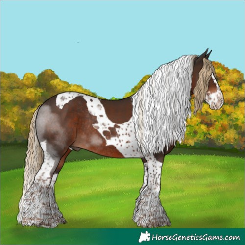 Horse Color:Liver Chestnut Splash Tobiano Rabicano 