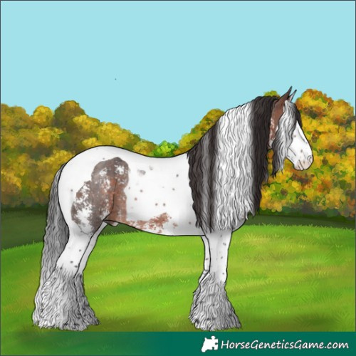 Horse Color:Brown Sabino Splash Tobiano Rabicano 