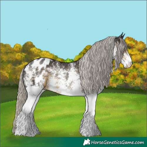 Horse Color:White Spotted Silver Smoky Black Appaloosa Rabicano