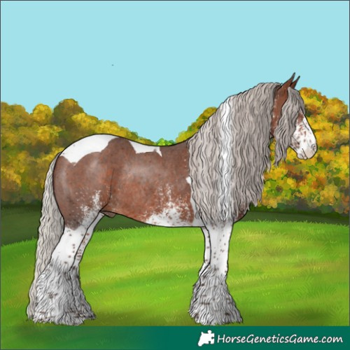 Horse Color:White Spotted Silver Brown Tobiano Rabicano 