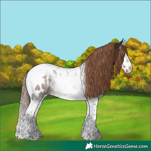 Horse Color:Liver Chestnut Splash Tobiano Appaloosa Rabicano
