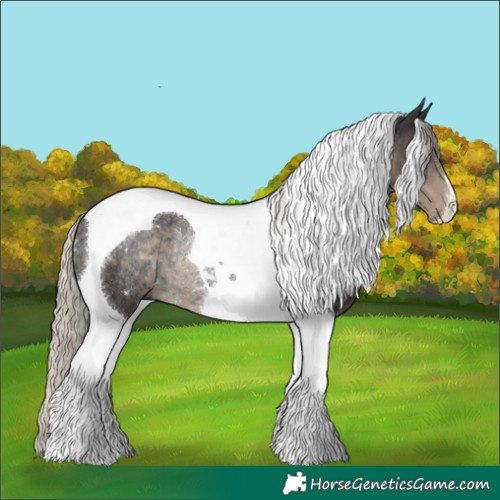 Horse Color:Silver Smoky Black Tobiano Rabicano 