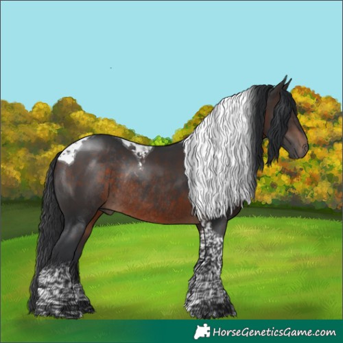 Horse Color:Brown Tobiano Rabicano 