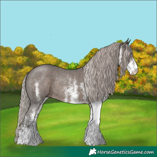 Horse Color:White Spotted Silver Black Rabicano 