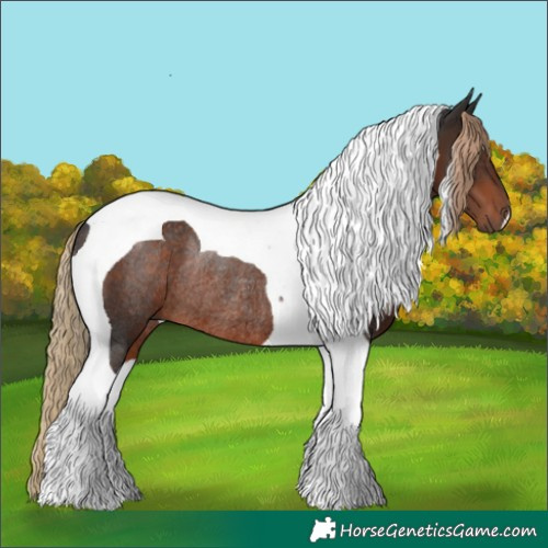 Horse Color:Liver Chestnut Tobiano Rabicano 