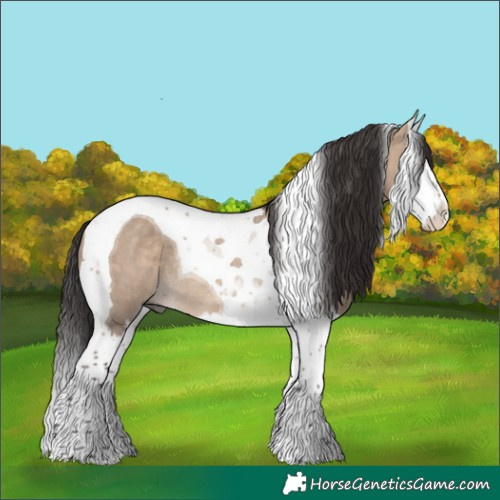 Horse Color:Brown Dun Splash Tobiano Rabicano 