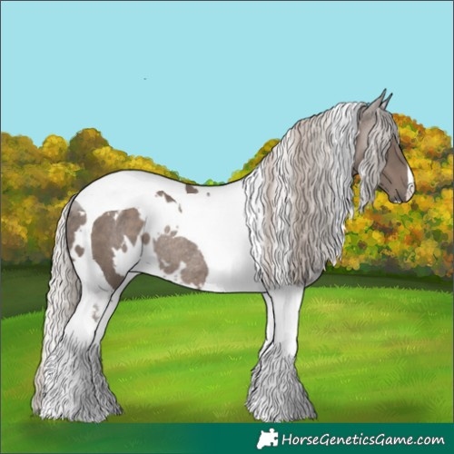 Horse Color:White Spotted Silver Black Tobiano Rabicano 