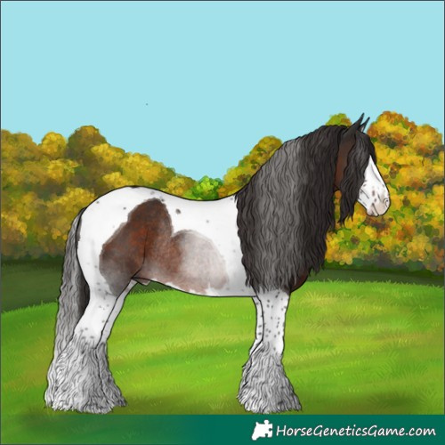 Horse Color:Liver Chestnut Splash Tobiano Rabicano 