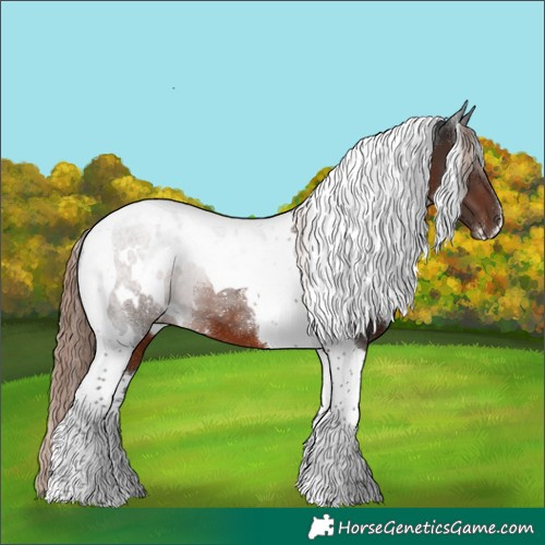 Horse Color:White Spotted Liver Chestnut Tobiano