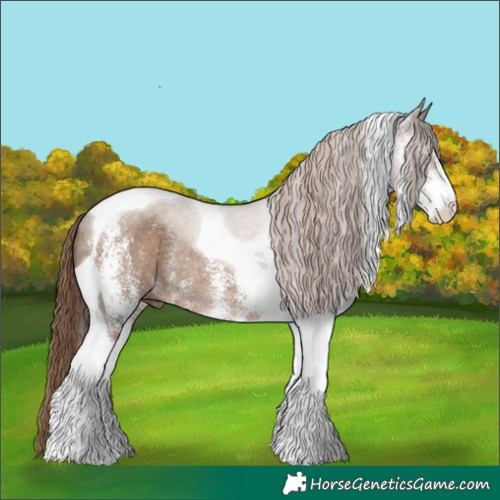 Horse Color:White Spotted Liver Red Dun Tobiano Rabicano 