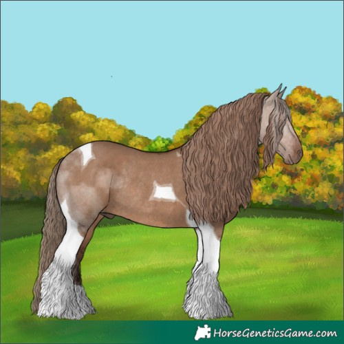 Horse Color:Liver Red Dun Tobiano Rabicano 
