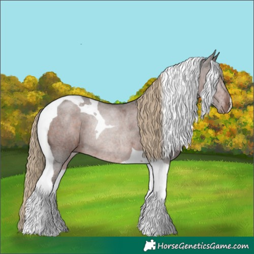 Horse Color:Liver Chestnut Tobiano Rabicano