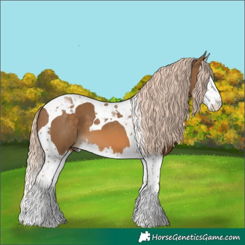 Horse Color:Chocolate Palomino Splash Tobiano 