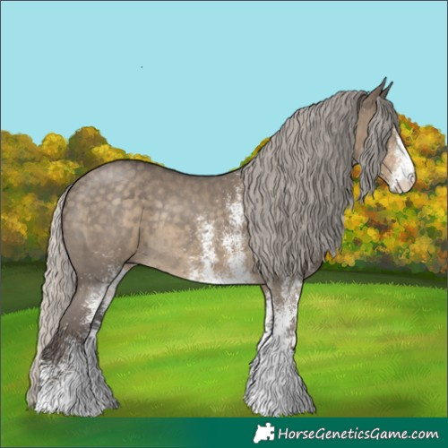 Horse Color:White Spotted Silver Smoky Grullo Rabicano 