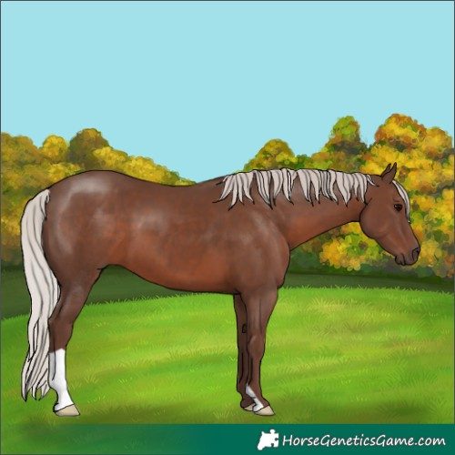 Horse Color:Silver Black 