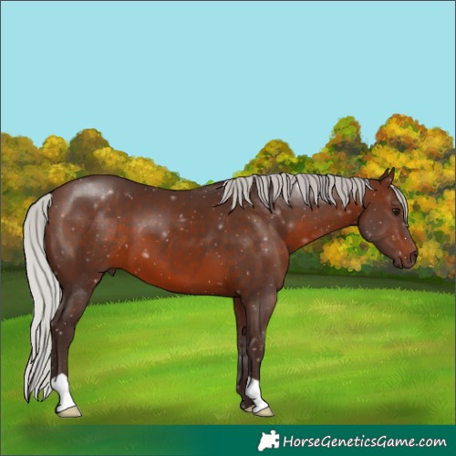 Horse Color:Silver Brown 