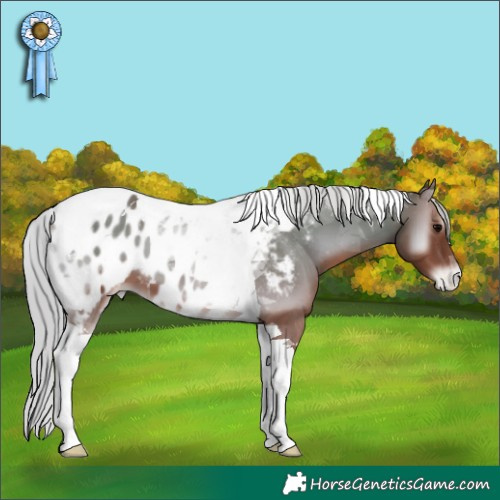 Horse Color:Silver Blue Onyx Tobiano Near Leopard 