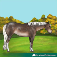 Horse Color:Liver Chestnut Mushroom Tobiano Rabicano