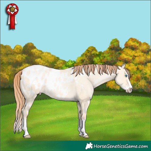 Horse Color:White Spotted Sable Cream Champagne Pearl Dun Sabino Splash Near Leopard 