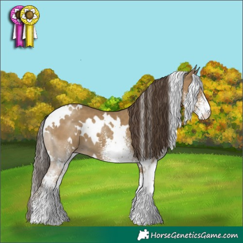 Horse Color:White Spotted Classic Cream Champagne 
