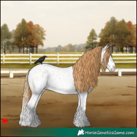 Horse Color:White Spotted Red Roan Splash Blanket Rabicano 