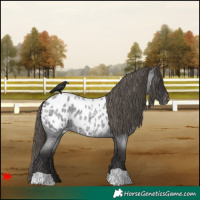 Horse Color:Smoky Blue Roan Blanket 