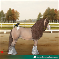 Horse Color:Amber Champagne Varnish 