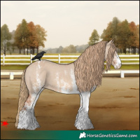 Horse Color:White Spotted Red Dun Varnish