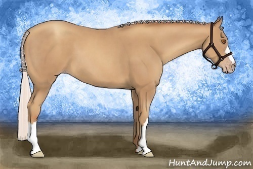 Horse Color:Silver Classic Champagne