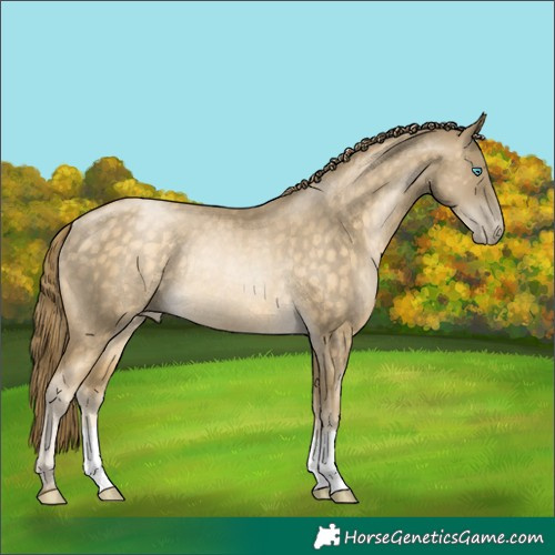 Horse Color:Buckskin Pearl Rabicano 