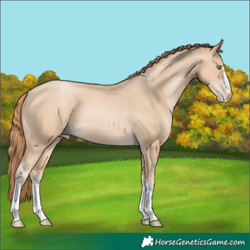 Horse Color:Smoky Black Pearl