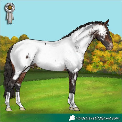 Horse Color:Bay Near Fewspot