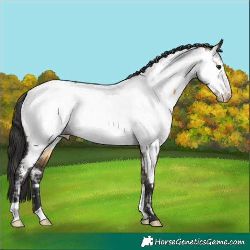 Horse Color:Buckskin Dun Near Fewspot