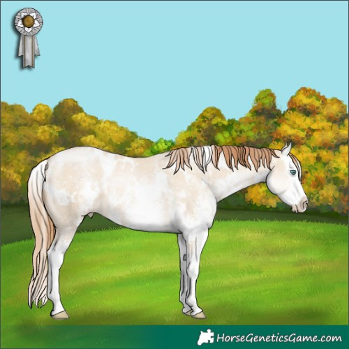 Horse Color:White Spotted Smoky Grullo Pearl Splash 